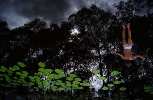 Manfred Krautschneider "Contrived" 2015, Stanthorpe Regional and Moreton Bay Regional Art Award Finalist, Archival pigment print, Edition of 5