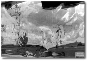 Manfred Krautschneider - "Rooster at Dali's funeral"